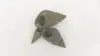  Product image 2 of the product “Snail shell, turned, in the size from 10 to 20cm, basanite, natural ”